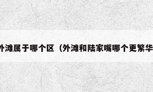 外滩属于哪个区（外滩和陆家嘴哪个更繁华）