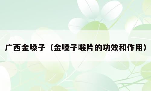广西金嗓子（金嗓子喉片的功效和作用）