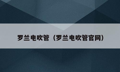 罗兰电吹管（罗兰电吹管官网）