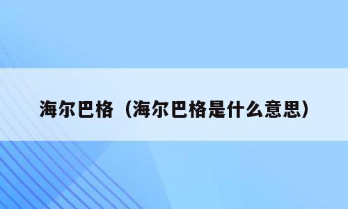 海尔巴格（海尔巴格是什么意思）