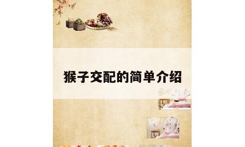 猴子交配的简单介绍
