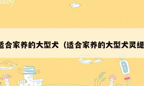 适合家养的大型犬（适合家养的大型犬灵缇）