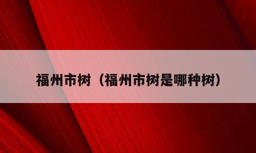 福州市树（福州市树是哪种树）