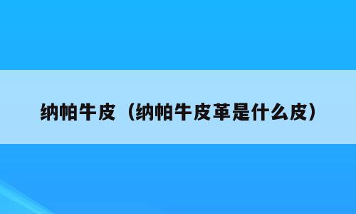 纳帕牛皮（纳帕牛皮革是什么皮）