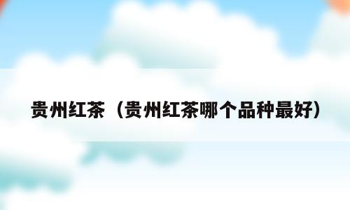 贵州红茶（贵州红茶哪个品种最好）