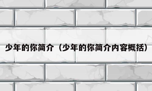 少年的你简介（少年的你简介内容概括）