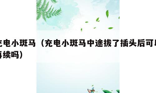 充电小斑马（充电小斑马中途拔了插头后可以再续吗）