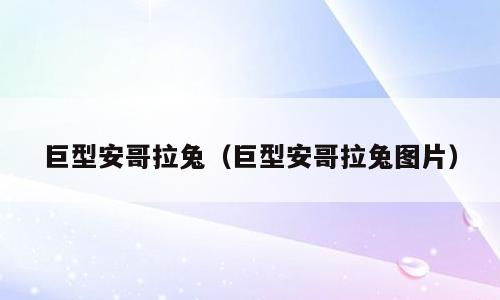 巨型安哥拉兔（巨型安哥拉兔图片）