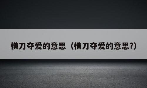 横刀夺爱的意思（横刀夺爱的意思?）