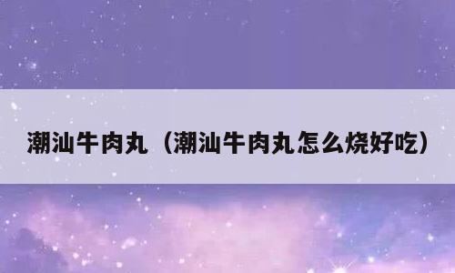 潮汕牛肉丸（潮汕牛肉丸怎么烧好吃）