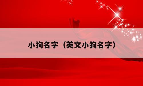 小狗名字（英文小狗名字）