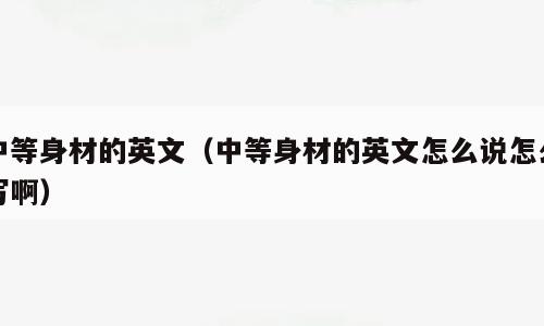 中等身材的英文（中等身材的英文怎么说怎么写啊）