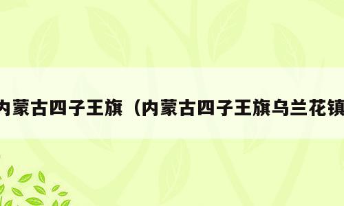 内蒙古四子王旗（内蒙古四子王旗乌兰花镇）