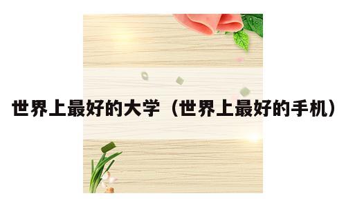 世界上最好的大学（世界上最好的手机）