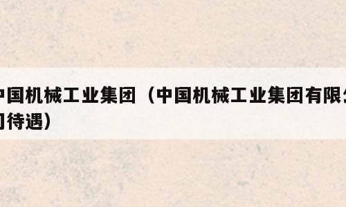 中国机械工业集团（中国机械工业集团有限公司待遇）