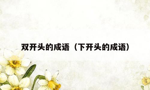 双开头的成语（下开头的成语）
