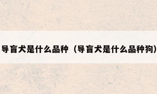 导盲犬是什么品种（导盲犬是什么品种狗）