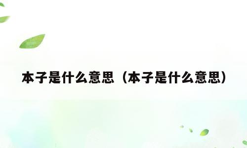 本子是什么意思（本子是什么意思）
