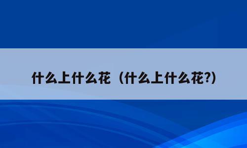 什么上什么花（什么上什么花?）