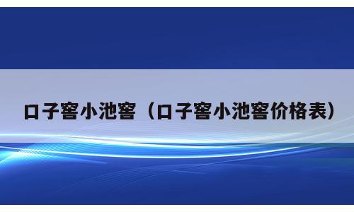 口子窖小池窖（口子窖小池窖价格表）