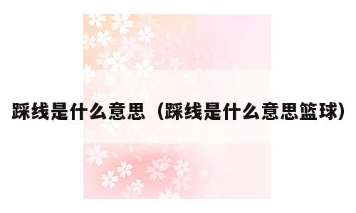 踩线是什么意思（踩线是什么意思篮球）