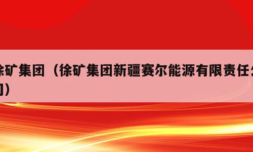 徐矿集团（徐矿集团新疆赛尔能源有限责任公司）