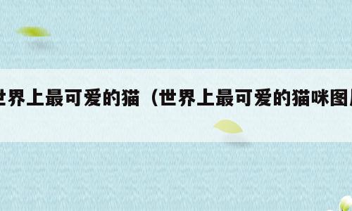 世界上最可爱的猫（世界上最可爱的猫咪图片）