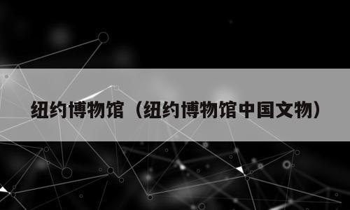 纽约博物馆（纽约博物馆中国文物）