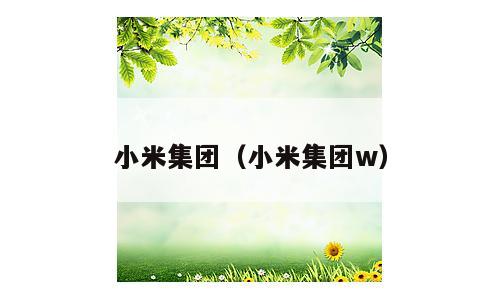 小米集团（小米集团w）