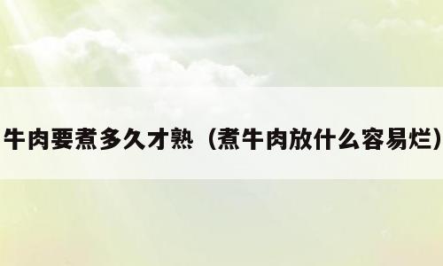 牛肉要煮多久才熟（煮牛肉放什么容易烂）