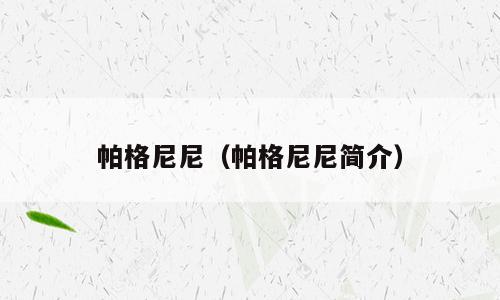 帕格尼尼（帕格尼尼简介）