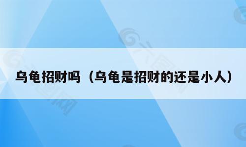 乌龟招财吗（乌龟是招财的还是小人）