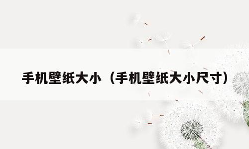 手机壁纸大小（手机壁纸大小尺寸）