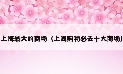 上海最大的商场（上海购物必去十大商场）