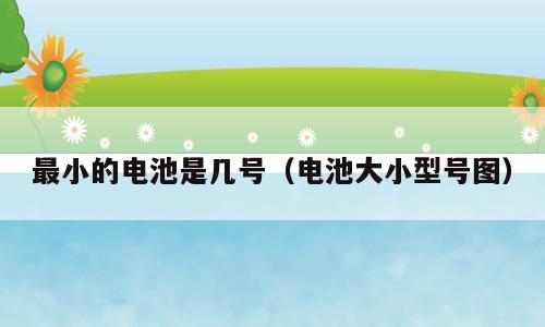 最小的电池是几号（电池大小型号图）