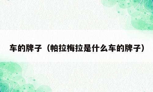 车的牌子（帕拉梅拉是什么车的牌子）