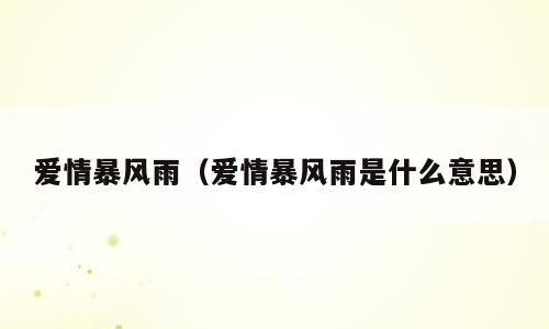 爱情暴风雨（爱情暴风雨是什么意思）