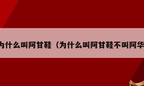 为什么叫阿甘鞋（为什么叫阿甘鞋不叫阿华）